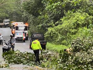 Personel Polsek Loa Janan Evakuasi Pohon Tumbang di Desa Batuah