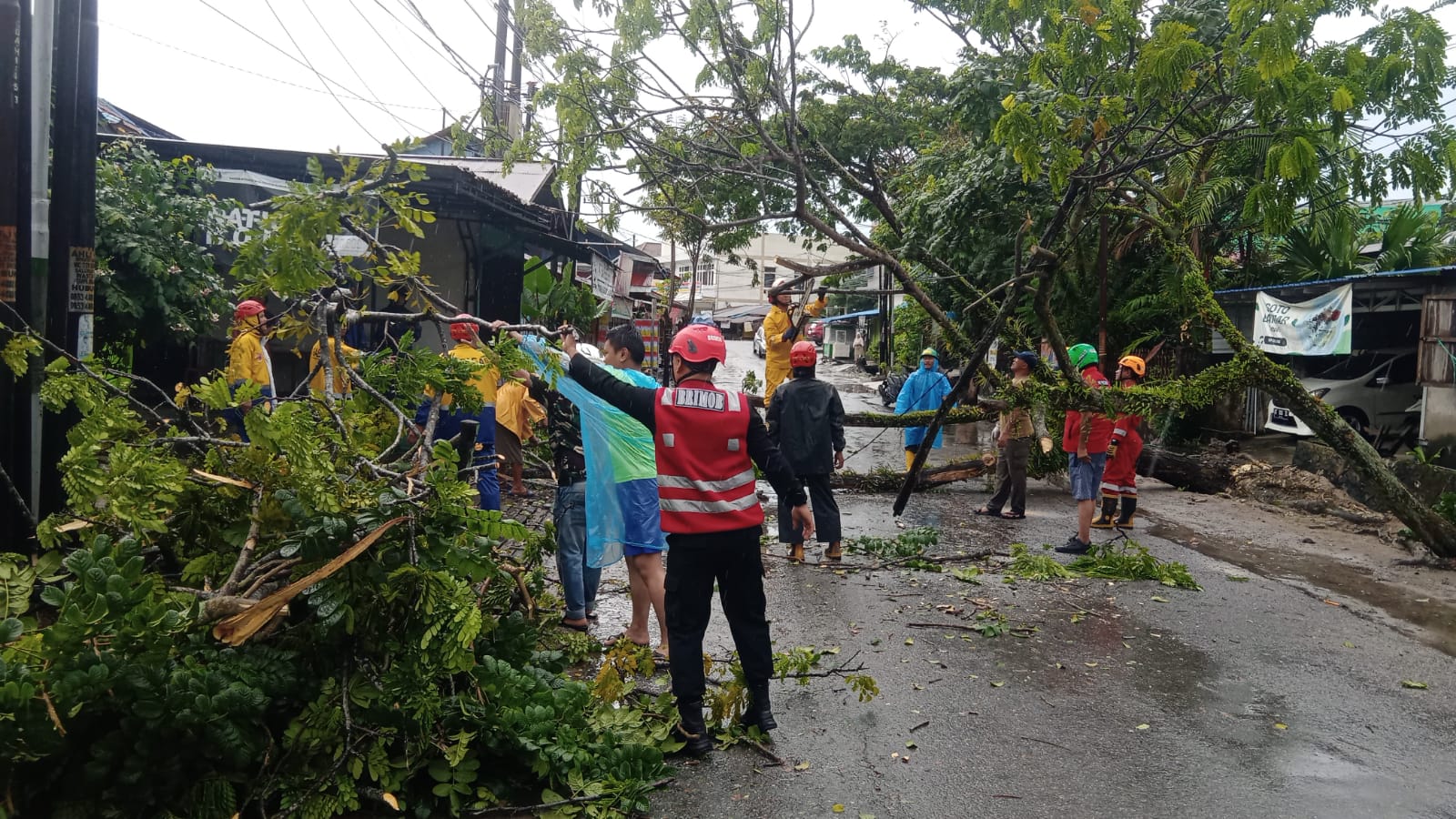 Brimob Kaltim Tunjukkan Aksi Cepat Evakuasi Pohon Tumbang di Balikpapan