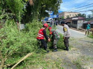 Brimob Batalyon A Tangani Pohon Tumbang Akibat Angin Kencang di Jalan Beller Balikpapan