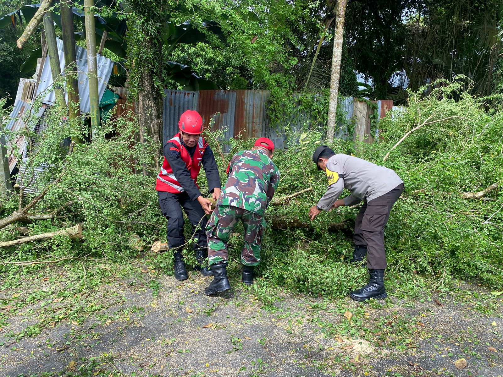 Brimob Batalyon A Evakuasi Pohon Tumbang Akibat Angin Kencang di Jalan Beller Balikpapan