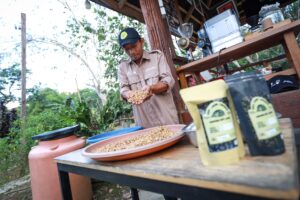 Kampung kopi luwak