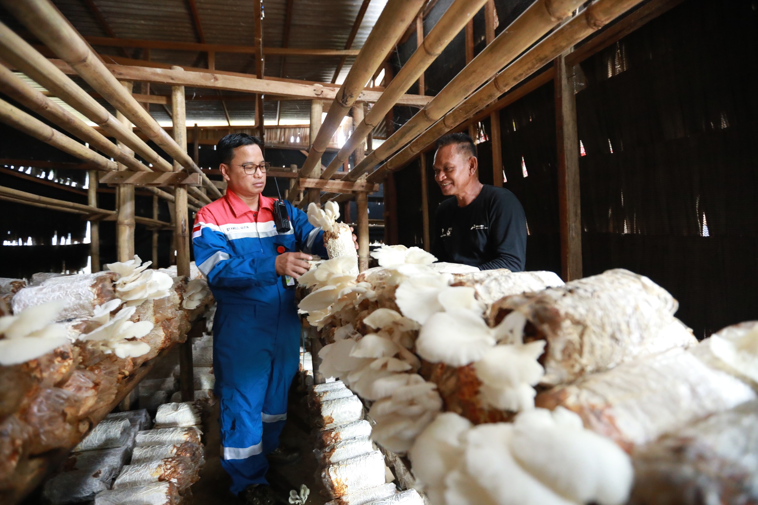 Manfaatkan Limbah Serbuk Kayu