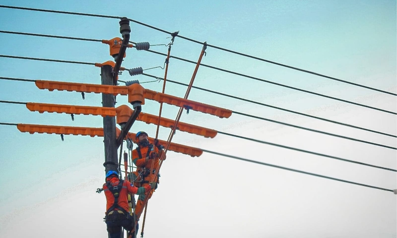 Pelanggan PLN di Kalimantan Timur