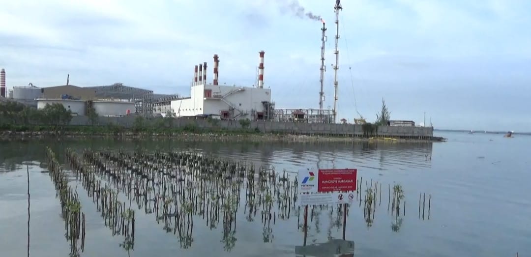 mangrove di kilang balikpapan