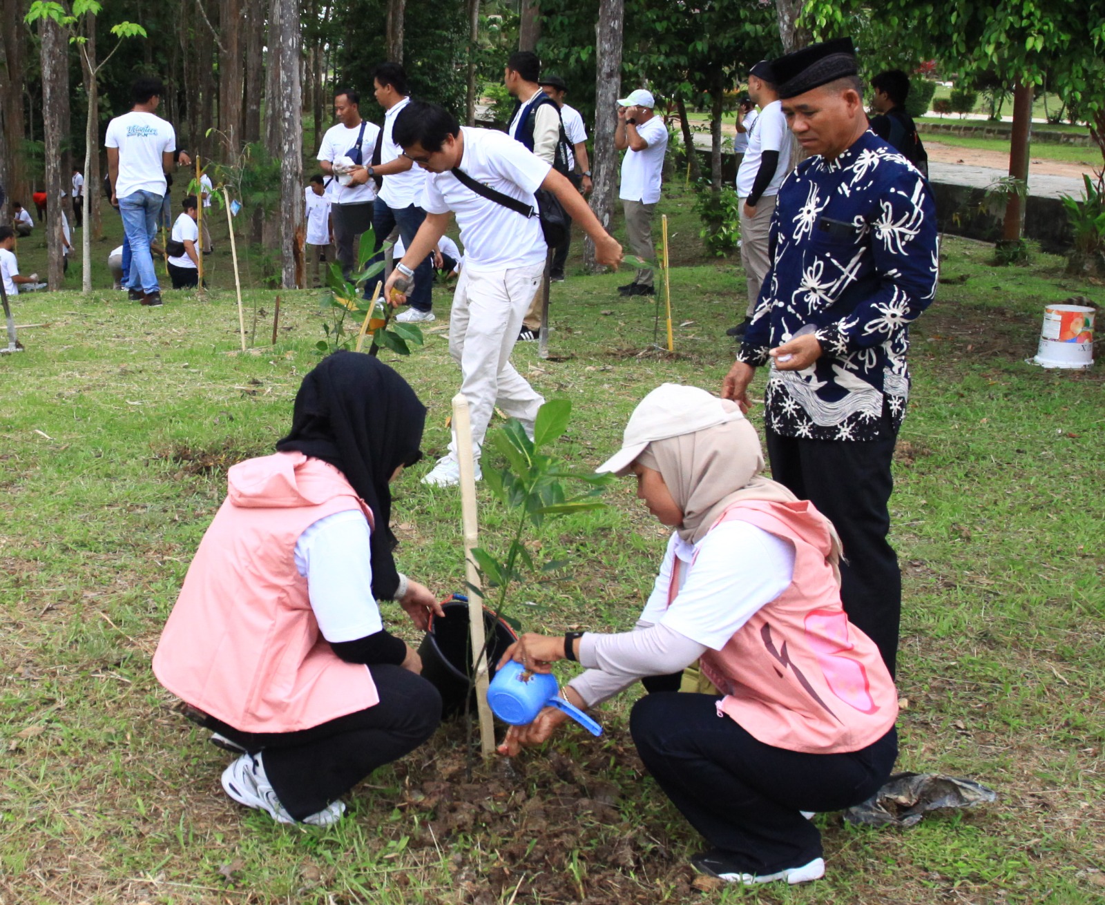 Hari Menanam Pohon