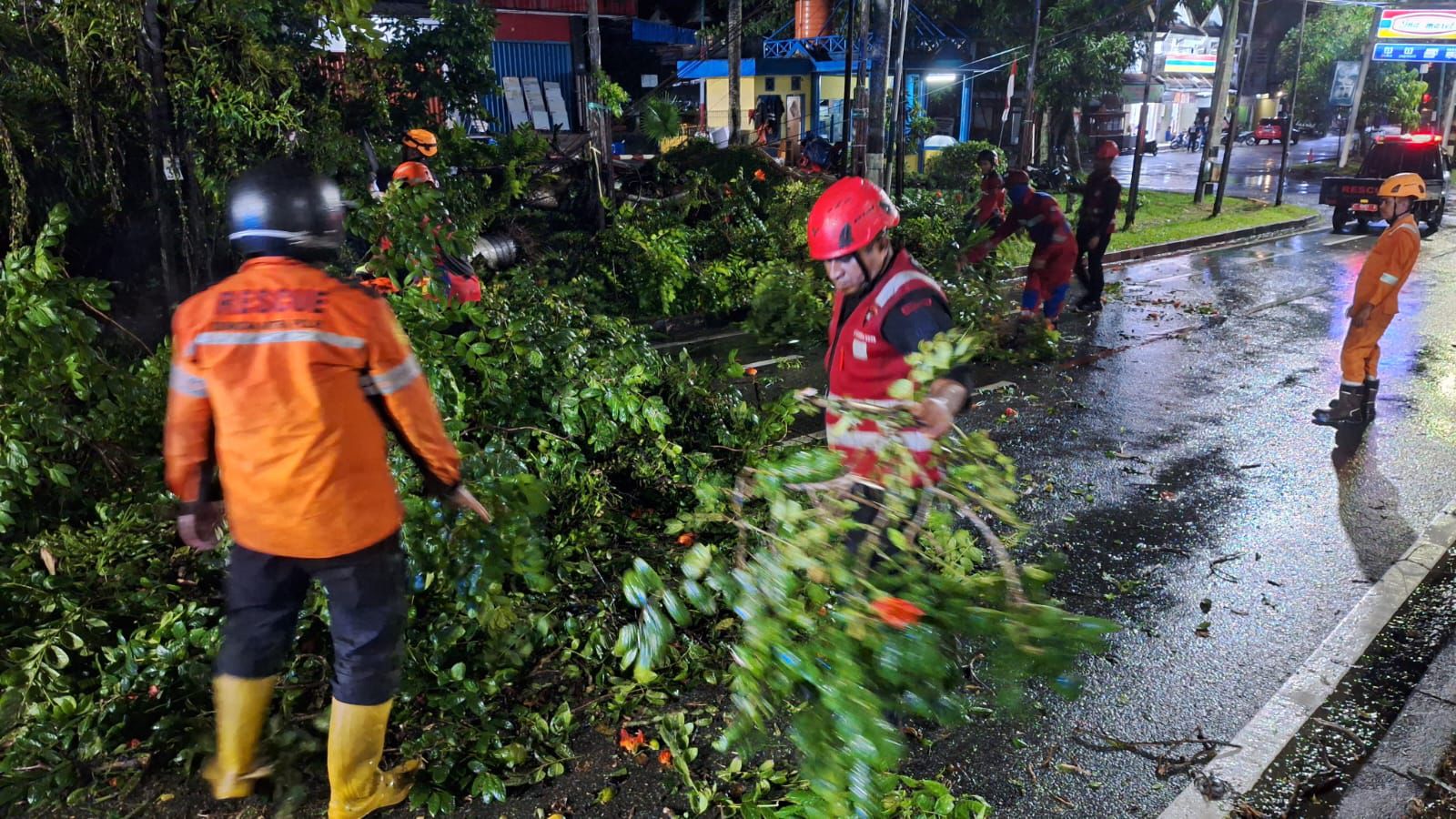 Pohon Tumbang