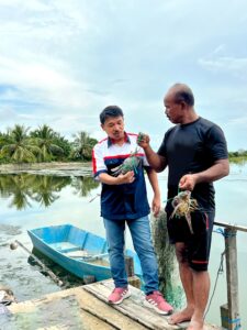 Restorasi Mangrove