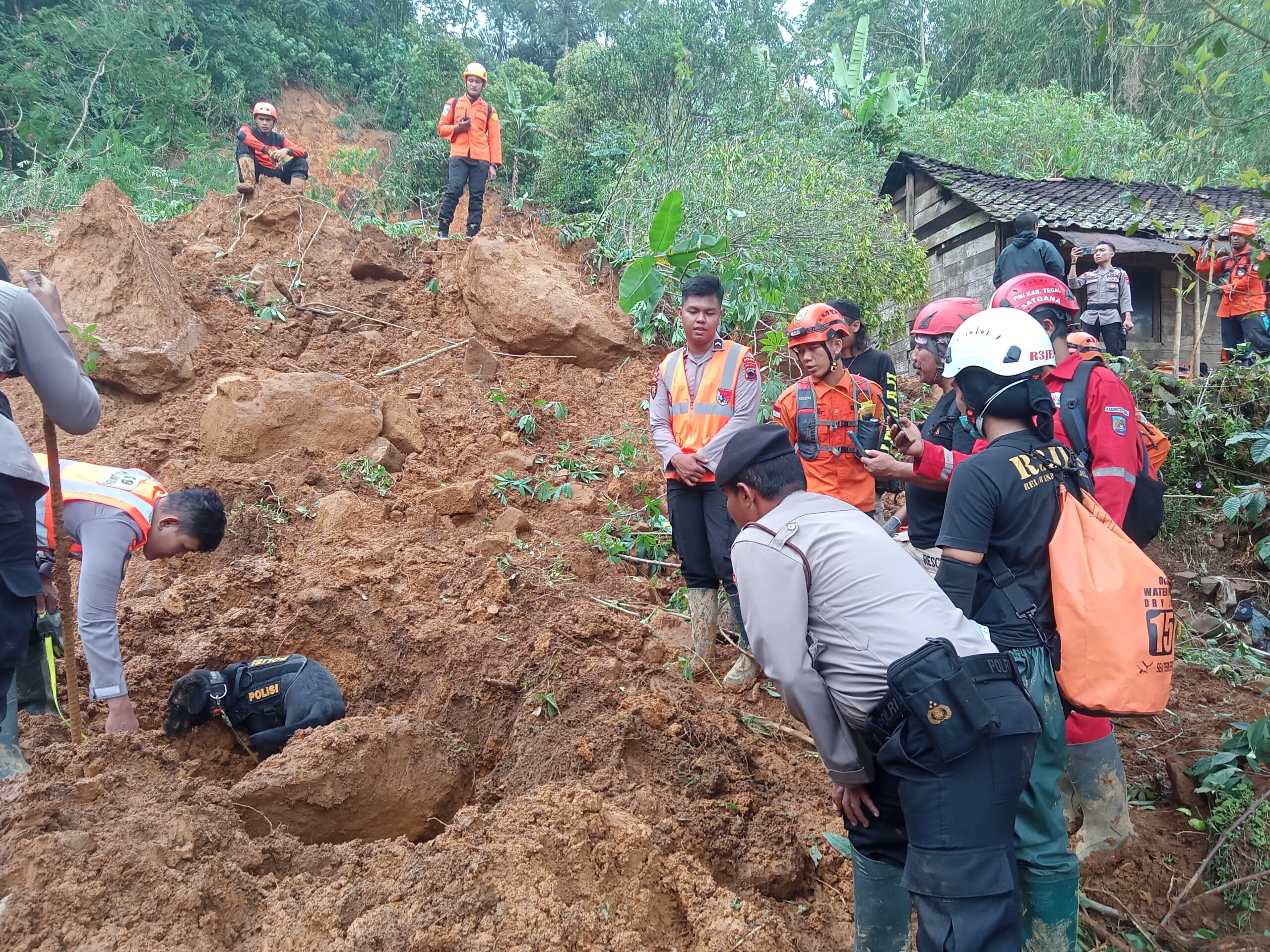 Banjir dan Longsor